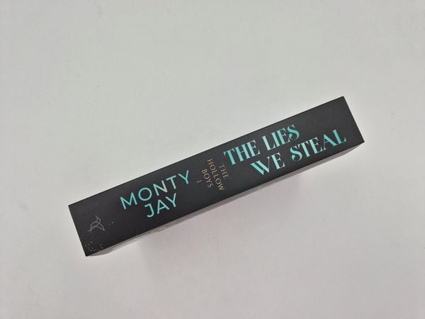 Produktbild: The Lies we steal