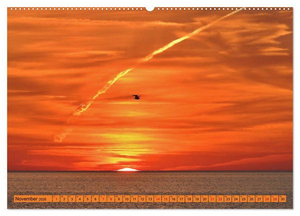 Produktbild: Eckernf&ouml;rde. Eichh&ouml;rnchen im Wappen - das Meer vor der T&uuml;r (Wandkalender 2026 DIN A2 quer), CALVENDO Monatskalender