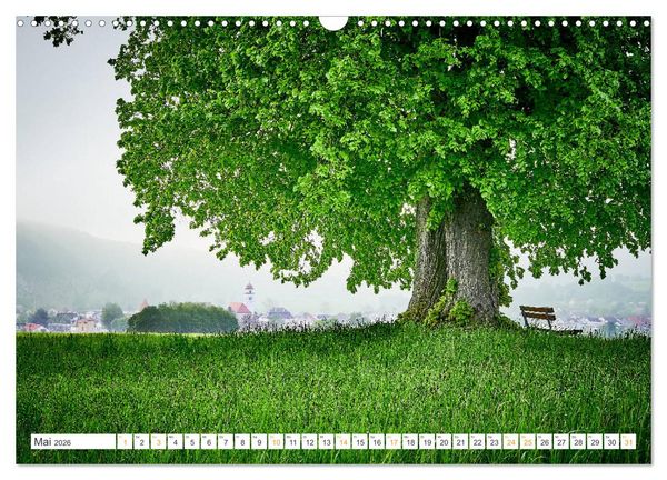 Produktbild: B&auml;ume im Altm&uuml;hltal (Wandkalender 2026 DIN A3 quer), CALVENDO Monatskalender