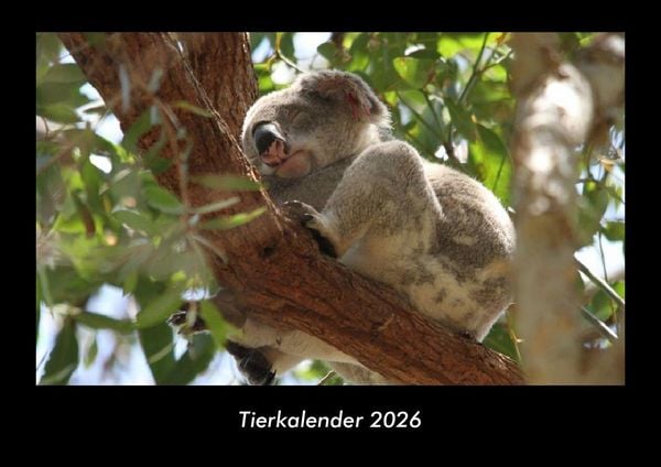 Produktbild: Tierkalender 2026 Fotokalender DIN A3
