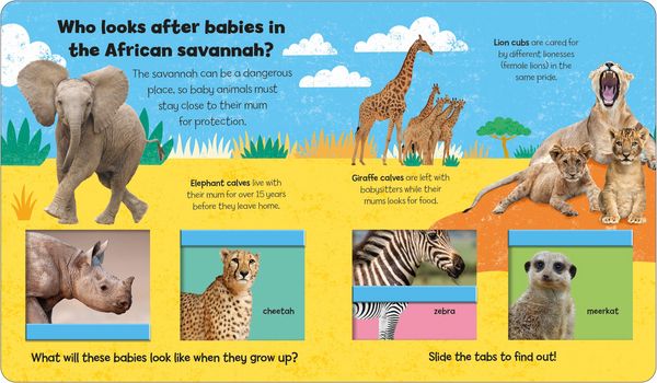 Produktbild: Baby Animals (Little Kids, Big Questions)