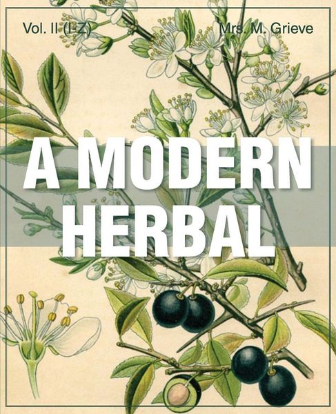 Produktbild: A Modern Herbal (Volume 2, I-Z and Indexes)
