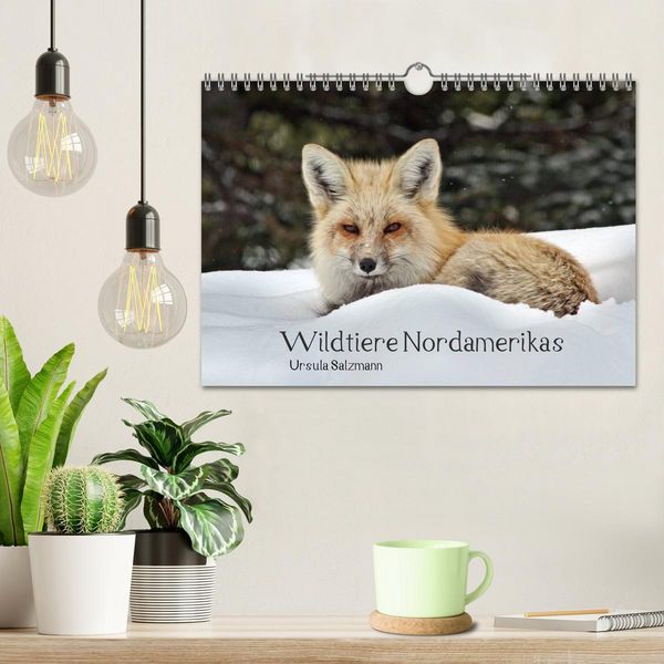 Produktbild: Wildtiere Nordamerikas (Wandkalender 2026 DIN A4 quer), CALVENDO Monatskalender