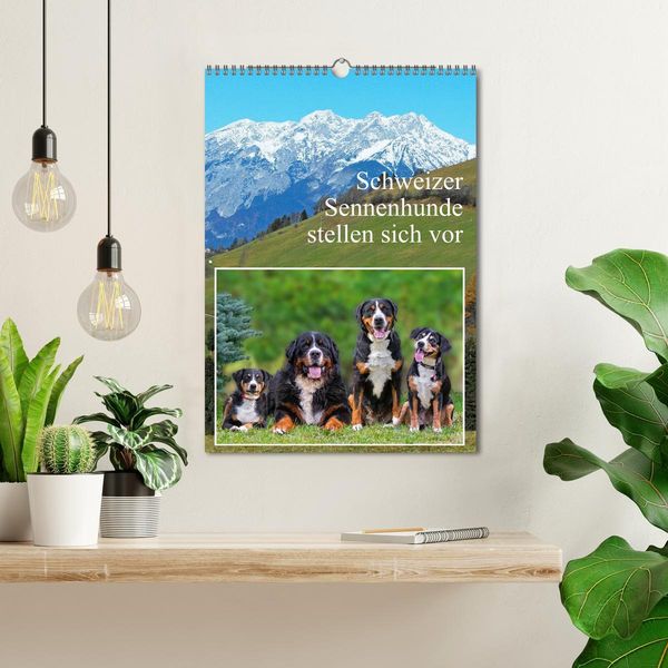 Produktbild: Schweizer Sennenhunde stellen sich vor (Wandkalender 2026 DIN A3 hoch), CALVENDO Monatskalender