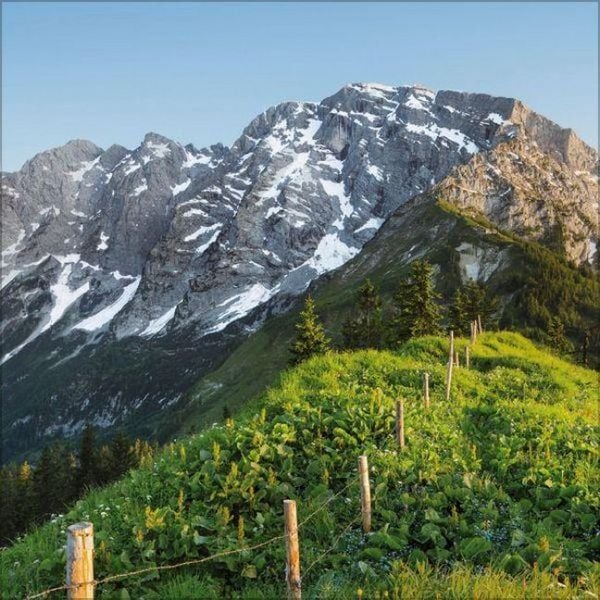 Produktbild: Alpen 2027