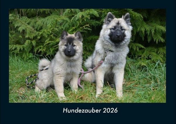 Produktbild: Hundezauber 2026 Fotokalender DIN A4