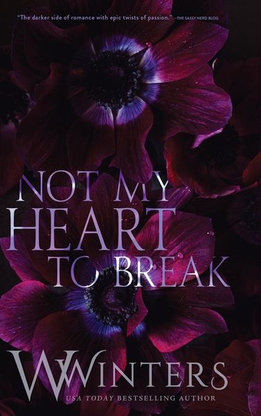 Produktbild: Not My Heart to Break