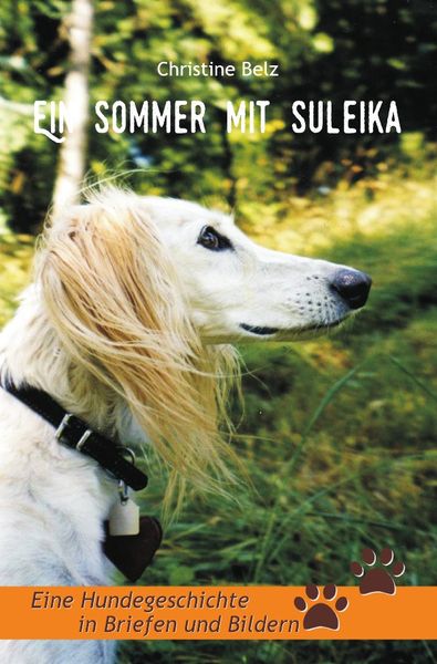 Ein Sommer mit Suleika, Taschenbuch von Christine Belz, Epubli, 9783741850127