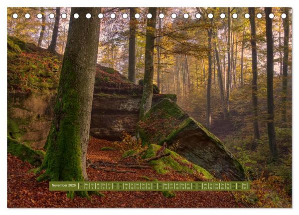 Produktbild: Magischer Pf&auml;lzer Wald (Tischkalender 2026 DIN A5 quer), CALVENDO Monatskalender