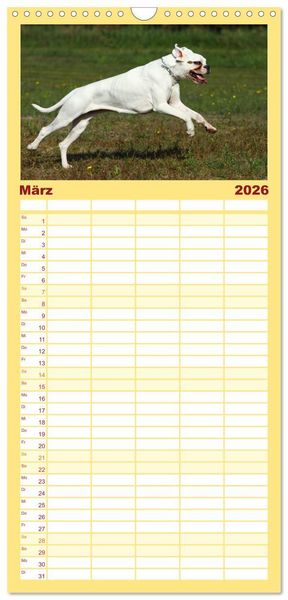 Produktbild: Familienplaner 2026 - Deutscher Boxer 2026 mit 5 Spalten (Wandkalender, 21 x 45 cm) CALVENDO
