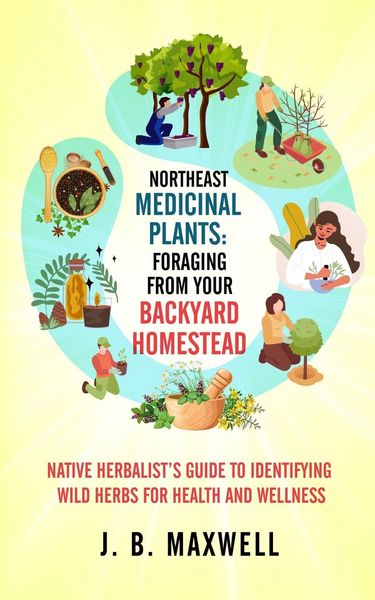 Produktbild: Northeast Medicinal Plants