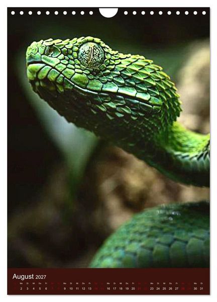 Produktbild: The Power Of Snake (Wandkalender 2027 DIN A4 hoch), CALVENDO Monatskalender