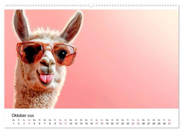 Produktbild: Kreativ Kalender - Tiere & eigene Ideen (hochwertiger Premium Wandkalender 2026 DIN A2 quer), Kunstdruck in Hochglanz