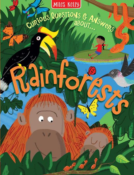 Produktbild: Rainforests