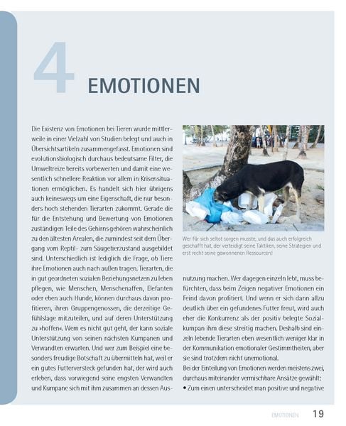 Produktbild: Mein Hund hat Angst