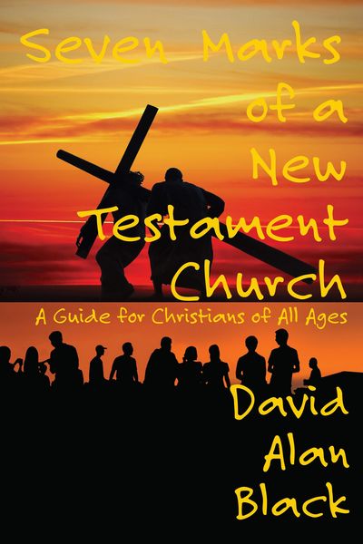 Produktbild: Seven Marks of a New Testament Church: