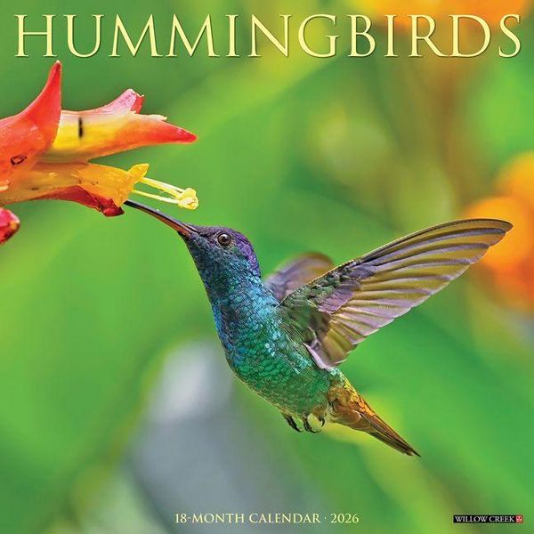 Produktbild: Hummingbirds 2026 Wall Calendar
