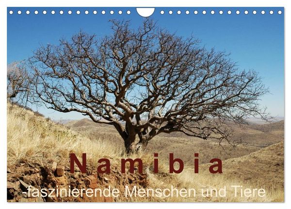 Produktbild: Namibia - faszinierende Menschen und Tiere (Wandkalender 2026 DIN A4 quer), CALVENDO Monatskalender