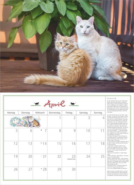 Produktbild: DuMonts Katzen Kalender 2027