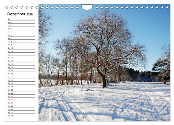 Produktbild: Vier Jahreszeiten im Land Brandenburg (Wandkalender 2026 DIN A4 quer), CALVENDO Monatskalender