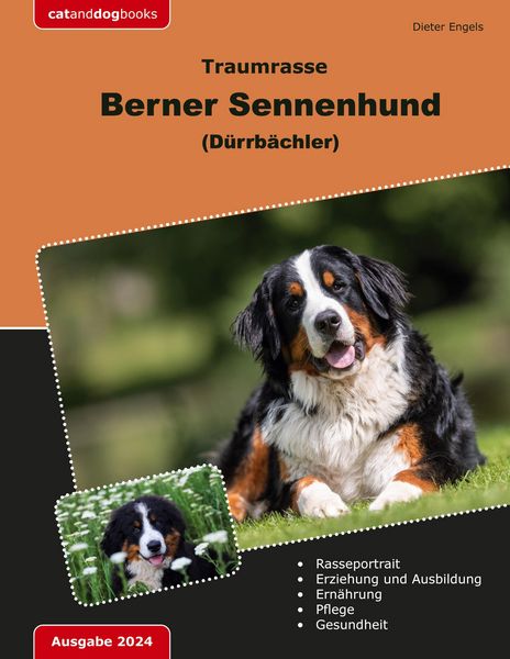 Produktbild: Traumrasse Berner Sennenhund