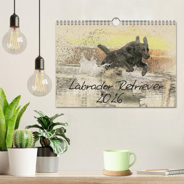 Produktbild: Labrador Retriever 2026 (Wandkalender 2026 DIN A4 quer), CALVENDO Monatskalender