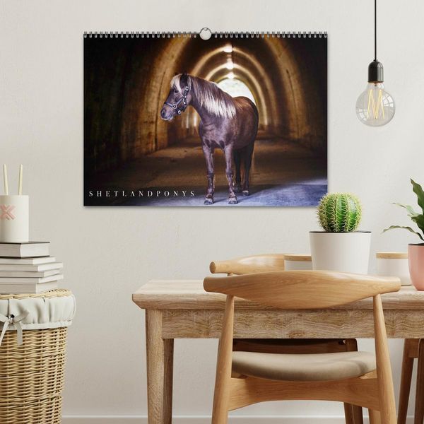 Produktbild: Shetlandpony Kalender (Wandkalender 2026 DIN A3 quer), CALVENDO Monatskalender
