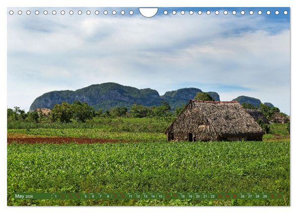 Produktbild: CUBA CARIBBEAN DREAM DESTINATION (Wall Calendar 2026 DIN A4 landscape), CALVENDO 12 Month Wall Calendar