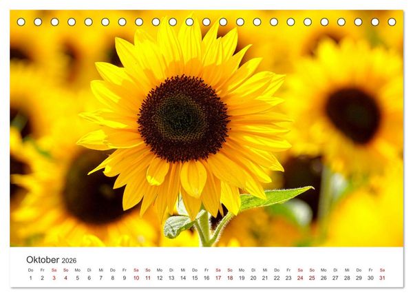 Produktbild: Die magische Welt der Blumen (Tischkalender 2026 DIN A5 quer), CALVENDO Monatskalender