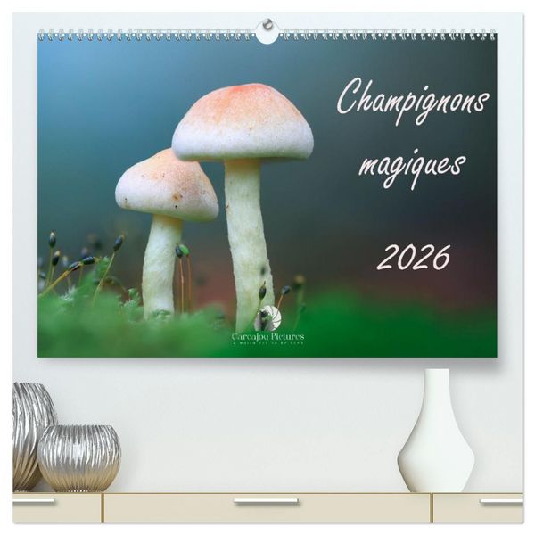 Produktbild: Champignons magiques (Calendrier mural haut de gamme 2027 DIN A2 vertical), CALVENDO calendrier mensuel