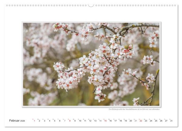 Produktbild: Emotionale Momente: Mallorca Best of (hochwertiger Premium Wandkalender 2026 DIN A2 quer), Kunstdruck in Hochglanz