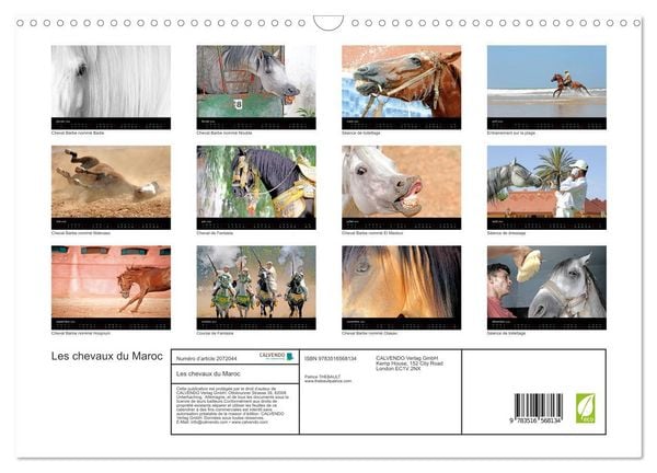 Produktbild: Les chevaux du Maroc (Calendrier mural 2026 DIN A3 vertical), CALVENDO calendrier mensuel