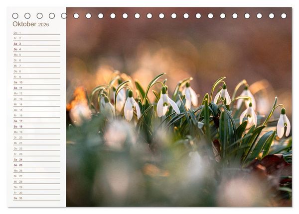Produktbild: Wenn im Fr&uuml;hling die Natur wieder erwacht (Tischkalender 2026 DIN A5 quer), CALVENDO Monatskalender