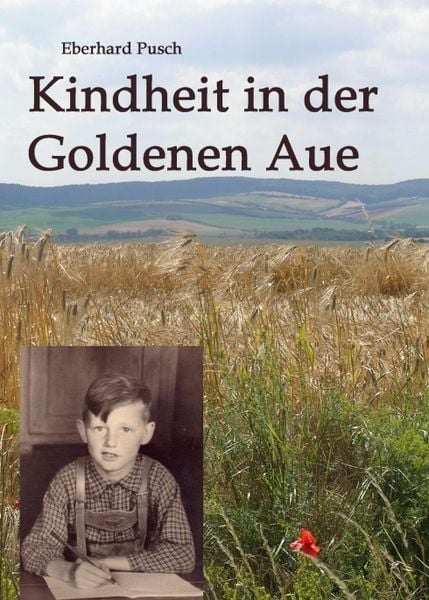 Kindheit in der Goldenen Aue, Taschenbuch von Eberhard Pusch, Tredition, 9783743909762