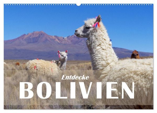 Produktbild: Entdecke Bolivien (Wandkalender 2026 DIN A2 quer), CALVENDO Monatskalender