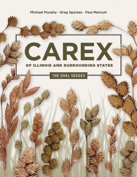 Produktbild: Carex of Illinois and Surrounding States