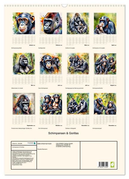 Produktbild: Schimpansen & Gorillas (Wandkalender 2026 DIN A2 hoch), CALVENDO Monatskalender