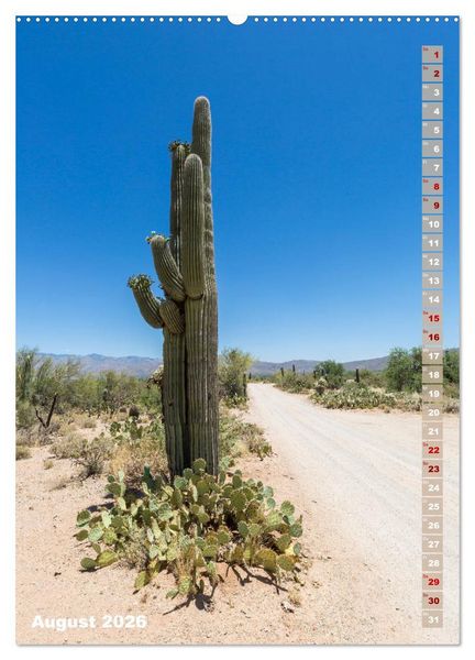 Produktbild: SAGUARO NATIONAL PARK W&uuml;stenimpressionen aus Arizona (hochwertiger Premium Wandkalender 2026 DIN A2 hoch), Kunstdruck in Hochglanz