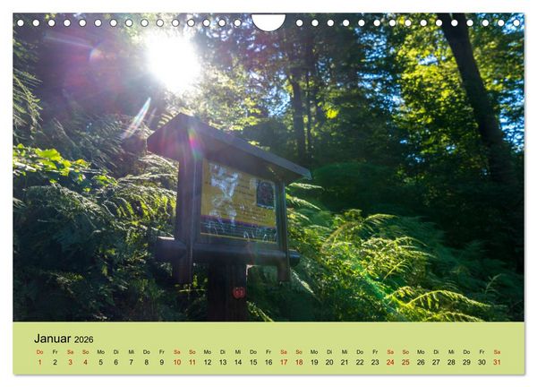 Produktbild: Pilgern im Waldecker Upland (Wandkalender 2026 DIN A4 quer), CALVENDO Monatskalender