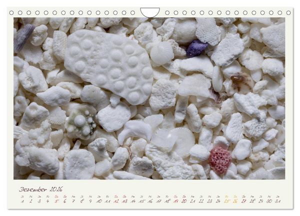 Produktbild: Abenteuer Mikrofotografie Sand (Wandkalender 2026 DIN A4 quer), CALVENDO Monatskalender