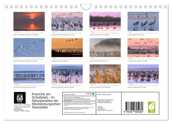 Produktbild: Kraniche am Schlafplatz - im Naturparadies der Mecklenburgischen Seenplatte (Wandkalender 2026 DIN A4 quer), CALVENDO Monatskalender