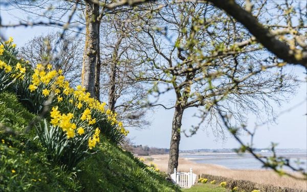 Produktbild: G&auml;rten auf Sylt