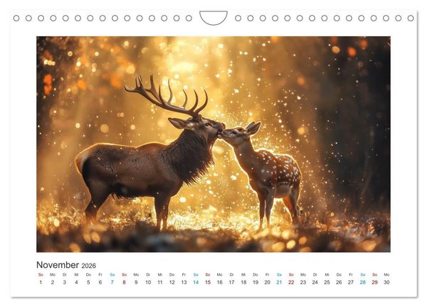 Produktbild: Geheimnisvolle Wildnis (Wandkalender 2026 DIN A4 quer), CALVENDO Monatskalender