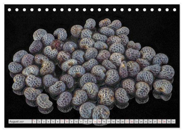 Produktbild: Zauber der kleinen Dinge (Tischkalender 2027 DIN A5 quer), CALVENDO Monatskalender