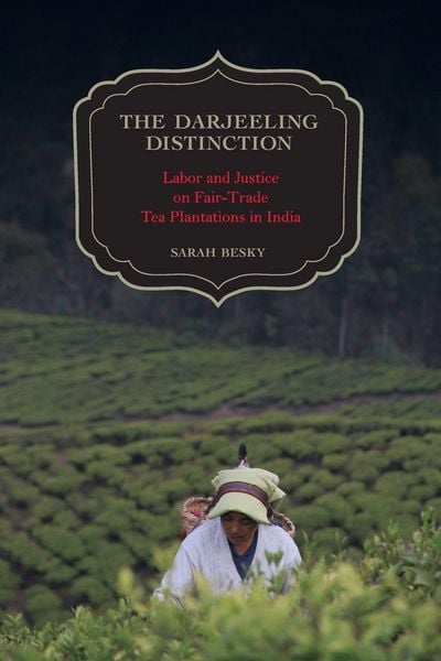 Produktbild: The Darjeeling Distinction