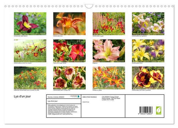 Produktbild: Lys d'un jour (Calendrier mural 2026 DIN A3 vertical), CALVENDO calendrier mensuel