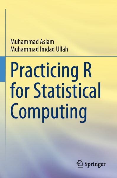 Produktbild: Practicing R for Statistical Computing