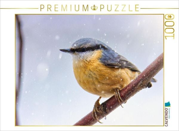 CALVENDO Puzzle Kleiber im Winter | 1000 Teile Lege-Größe 64x48cm Foto-Puzzle für glückliche Stunden, Sonstige von , Calvendo Puzzle, 4066851649993