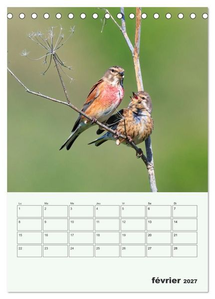 Produktbild: Voyage ornithologique (Calendrier de bureau 2027 DIN A5 horizontal), CALVENDO calendrier mensuel