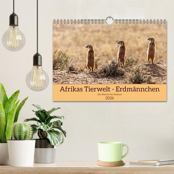 Produktbild: Afrikas Tierwelt - Erdm&auml;nnchen (Wandkalender 2026 DIN A4 quer), CALVENDO Monatskalender